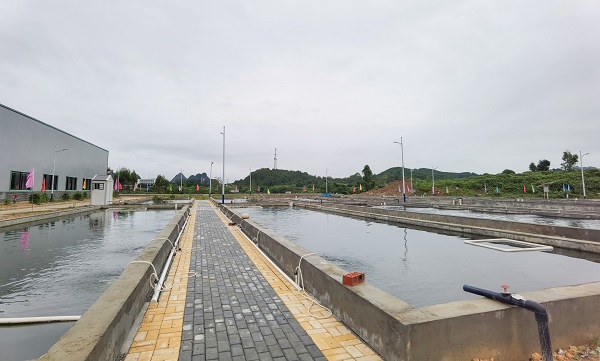 1626310213334057629.jpg 養(yǎng)魚1.jpg